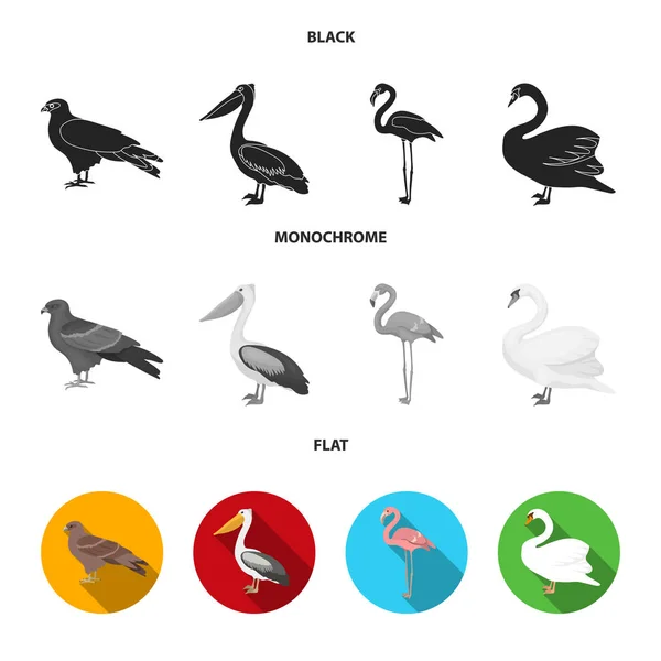Kite, pelican, flamingo, swan. Birds set collection icons in black, flat, monochrome style vector symbol stock illustration web.