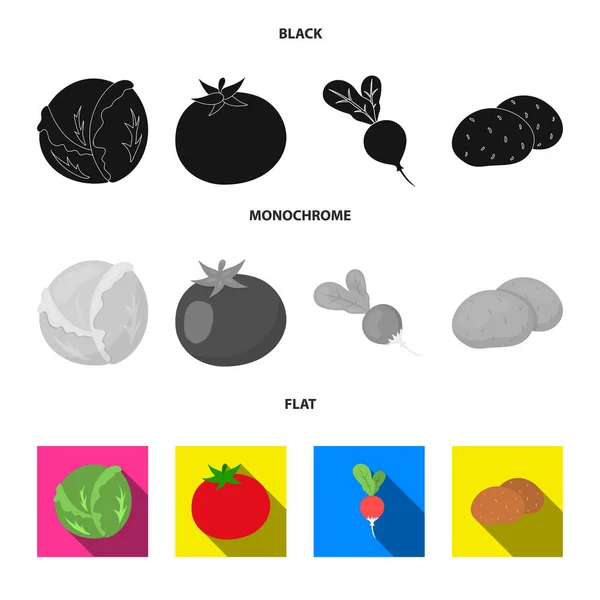 Weißkohl, Tomatenrot, Reis, Kartoffeln. Gemüse Set Sammlung Symbole in schwarz, flach, monochromen Stil Vektor Symbol Stock Illustration Web. — Stockvektor