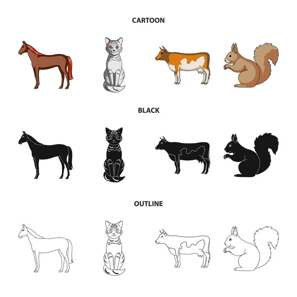 Кінь, корова, кіт, білка та інші види тварин. Тварини встановлюють колекційні значки в мультфільмі, чорному, контурному стилі Векторний символ стокової ілюстрації веб . — стоковий вектор