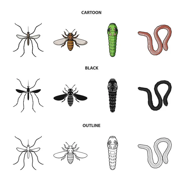 Worm, centipede, wasp, bee, hornet .Insects set collection icons in cartoon,black,outline style vector symbol stock illustration web. — Stock Vector