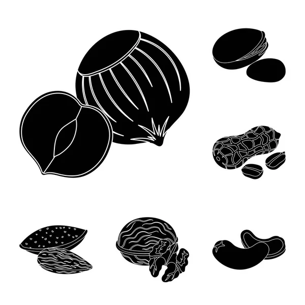 不同种类的坚果黑色图标集合中的设计 坚果食物矢量符号股票插图 — 图库矢量图片