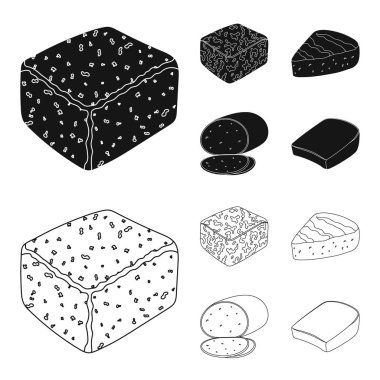 Brynza, füme, colby jack, pepper jack. Farklı peynir toplama simgeler siyah, anahat stili vektör simge stok çizim web içinde ayarla..