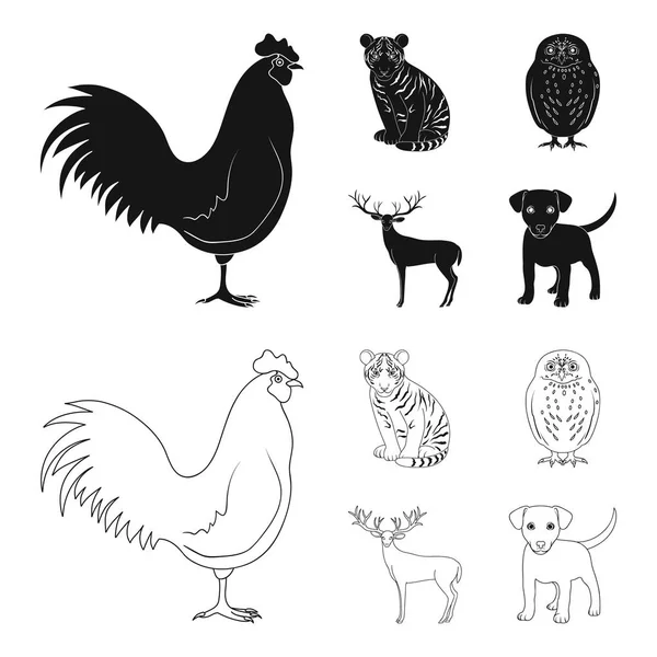 Coq, tigre, cerf, hibou et autres animaux.Animaux mis icônes de la collection en noir, contour de style vectoriel symbole illustration web . — Image vectorielle