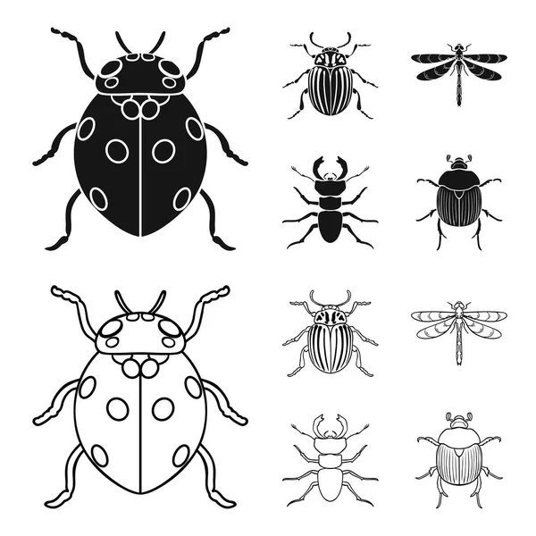 Insecto, insecto, escarabajo, pata. Iconos de colección conjunto de insectos en negro, contorno estilo vector símbolo stock ilustración web . — Archivo Imágenes Vectoriales