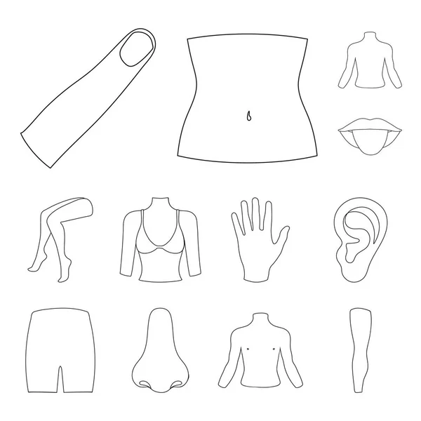 Teil des Körpers, Gliedmaßen umreißen Symbole in Set-Kollektion für Design. menschliche anatomie vektor symbol stock web illustration. — Stockvektor