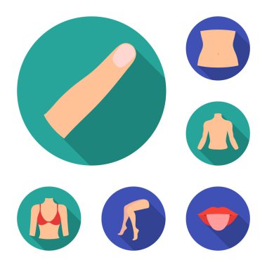 Vücut, bacak set koleksiyonu tasarım için düz simgeleri parçası. İnsan anatomisi vektör simge stok web çizimi.