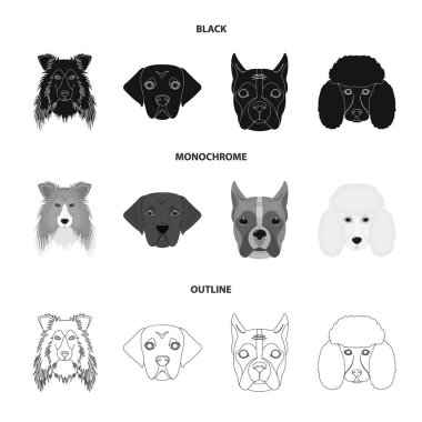 Farklı doğurmak-in köpek ağızlık. Kömür ocağı doğurmak köpek, lobladore, fino köpeği, boksör siyah, tek renkli, anahat stili vektör simge stok çizim web simgeler ayarla.