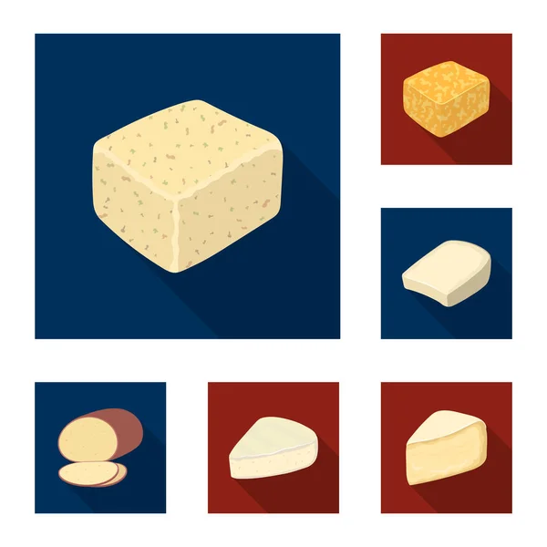 Différents types d'icônes plates de fromage dans la collection de jeu pour le design.Milk produit fromage vecteur symbole illustration web stock . — Image vectorielle