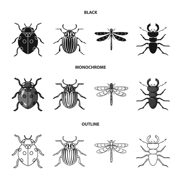 Insect, bug, beetle, paw .Insects set collection icons in black,monochrome,outline style vector symbol stock illustration web. — Stock Vector