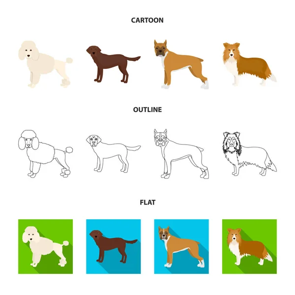 Perro razas de dibujos animados, contorno, iconos planos en la colección de conjuntos para design.Dog mascota vector símbolo stock web ilustración . — Vector de stock