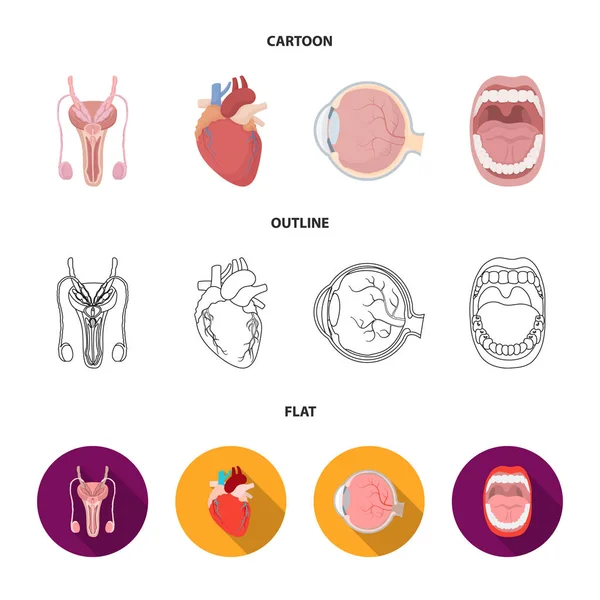 Sistema masculino, corazón, globo ocular, cavidad oral. Iconos de colección de conjunto de órganos en dibujos animados, contorno, plano estilo vector símbolo stock ilustración web . — Vector de stock