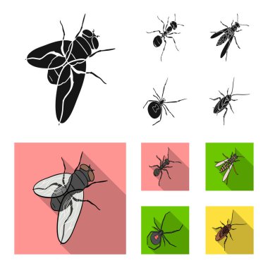 Böcek bir eklem bacaklılar, bir osa, bir örümcek, Hamam böceği. Böcekler toplama simgeler siyah, düz stil vektör simge stok izometrik çizim web içinde ayarla..