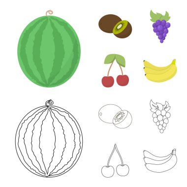 Kivi, üzüm, kiraz, muz. Meyve toplama simgeler çizgi film, anahat stili vektör simge stok çizim web ayarla..