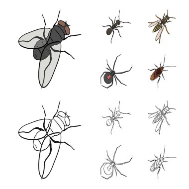 Böcek bir eklem bacaklılar, bir osa, bir örümcek, Hamam böceği. Böcekler toplama simgeler çizgi film, anahat stili vektör simge stok izometrik çizim web ayarla..