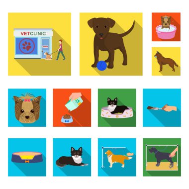 Set koleksiyonu tasarım için evde beslenen hayvan düz simgeler. Bakım ve eğitim sembol stok web illüstrasyon vektör.