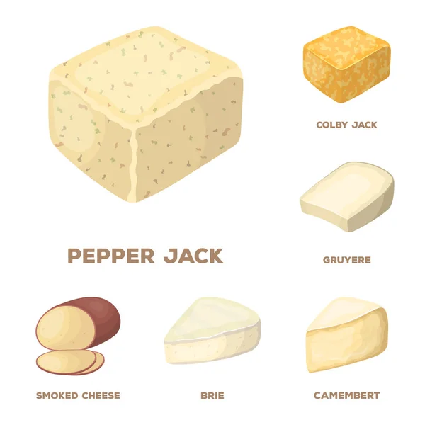 Jiný druh sýra karikatura ikony v kolekce sady pro design.Milk produktu sýr vektor symbol akcií web ilustrace. — Stockový vektor
