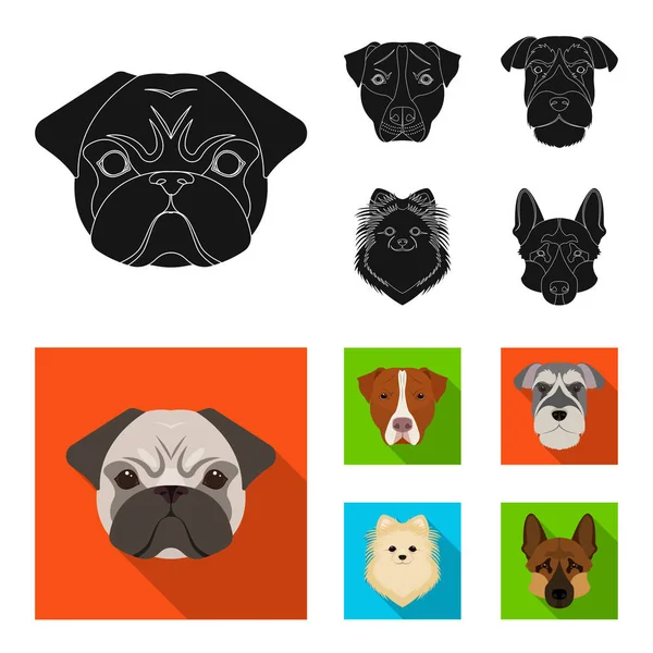 Farklı doğurmak-in köpek ağızlık. Köpek doğurmak Stafford, Spitz, Risenschnauzer, Alman çoban ayarlamak toplama simgeler siyah, düz stil vektör simge stok çizim web içinde.