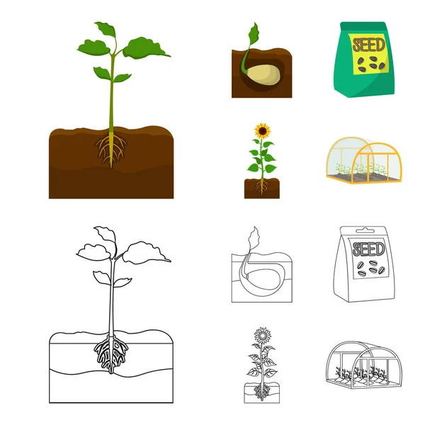 Company, ecology, and other web icon in cartoon,outline style. Husks, fines, garden icons in set collection. — Stock Vector