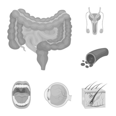 Bir insan tek renkli simgeler kümesi koleksiyonundaki iç organların tasarımı için. Anatomi ve tıp vektör simge stok web çizim.