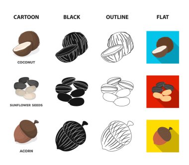 Hindistan cevizi, meşe palamudu, ayçiçeği tohumu, manchueian ceviz. Farklı türdeki fındık toplama simgeler ayarlayın çizgi film, siyah, anahat, düz stil vektör simge stok çizim web.