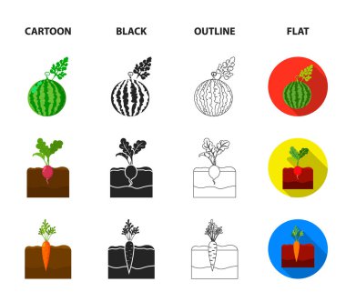 Karpuz, turp, havuç, patates. Bitki koleksiyonu Icons set çizgi film, siyah, anahat, düz stil vektör simge stok çizim web.
