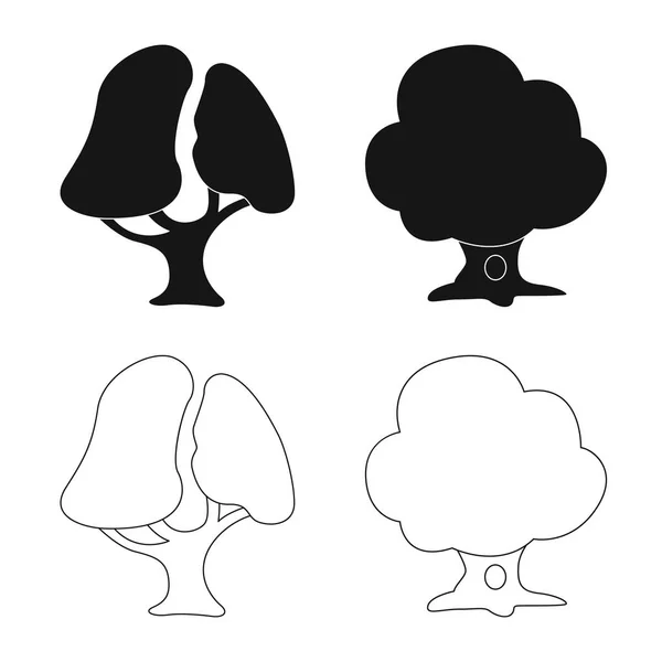 Objeto aislado del logotipo del árbol y la naturaleza. Colección de árbol y corona icono vectorial para stock . — Archivo Imágenes Vectoriales