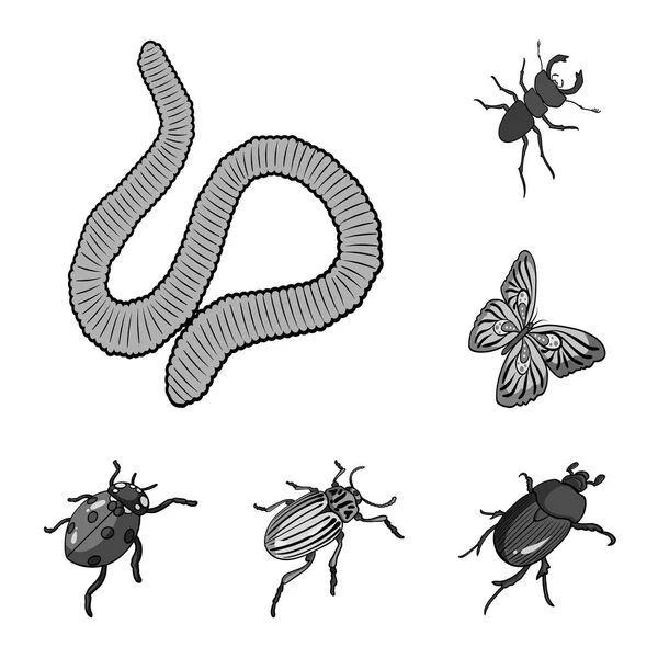 Different kinds of insects monochrome icons in set collection for design. Insect arthropod vector isometric symbol stock web illustration. — Stock Vector