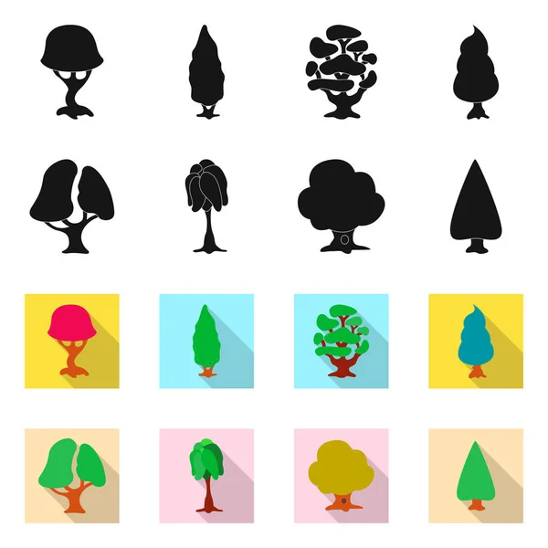 Diseño vectorial de árbol y signo de la naturaleza. Colección de árbol y corona símbolo de stock para la web . — Archivo Imágenes Vectoriales