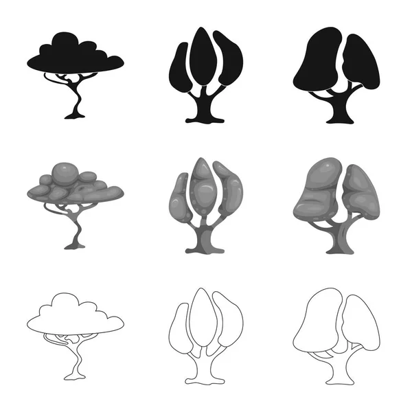 Projeto vetorial de árvore e logotipo da natureza. Conjunto de árvore e coroa símbolo de estoque para web . — Vetor de Stock