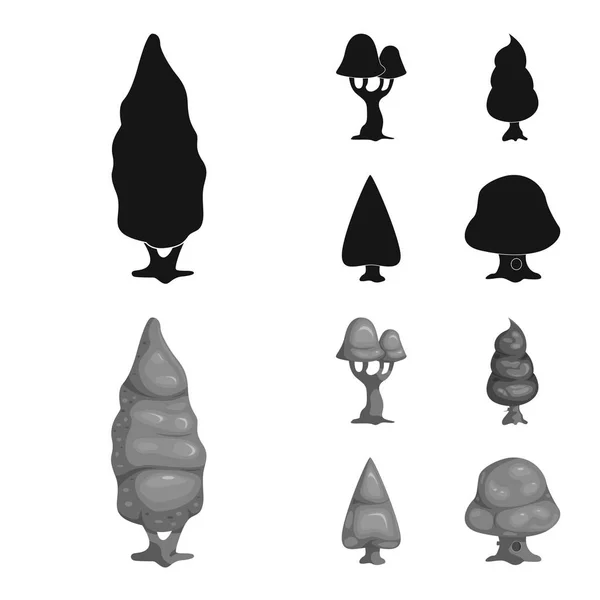 Isoliertes Objekt aus Baum und Naturlogo. Set von Baum und Kronenstock Vektor Illustration. — Stockvektor