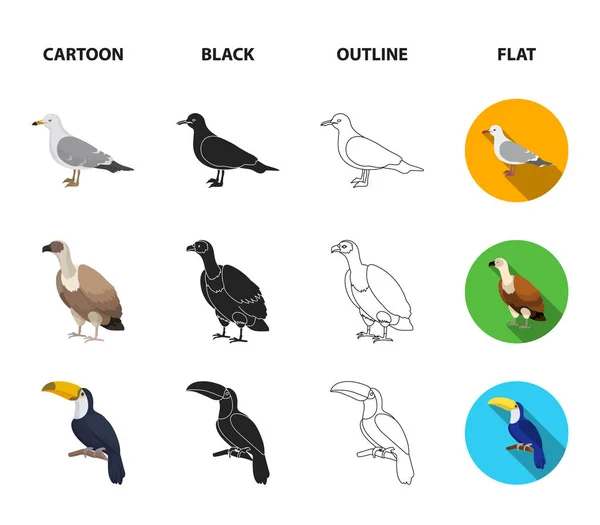 Gull, toucan and other species. Birds set collection icons in cartoon,black,outline,flat style vector symbol stock illustration web. — Stock Vector