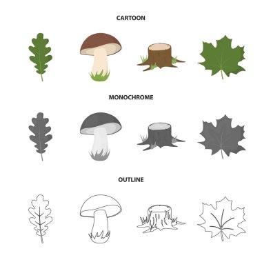 Meşe yaprağı, mantar, stump, akçaağaç yaprağı. Orman koleksiyonu Icons set çizgi film, anahat, tek renkli stil vektör simge stok çizim web.