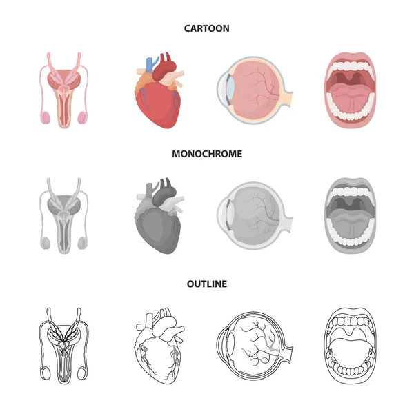 Mannelijke systeem, hart, oogbol, mondholte. Organen ingesteld collectie iconen in de tekenfilm, overzicht, zwart-wit stijl vector symbool stock illustratie web. — Stockvector