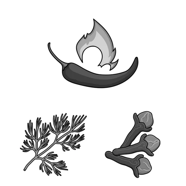 Kräuter und Gewürze monochrome Symbole in Set-Kollektion für Design. Verschiedene Arten von Gewürzen Vektor-Symbol Stock Web-Illustration. — Stockvektor