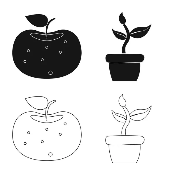 Vector ontwerp van genetische en plant logo. Set van genetische en biotechnologie aandelensymbool voor web. — Stockvector