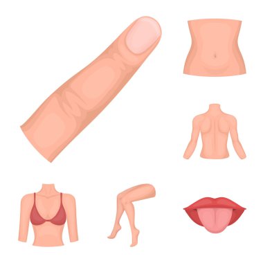 Vücut, bacak karikatür simgeleri tasarım için küme toplama bir parçası. İnsan anatomisi vektör simge stok web çizimi.