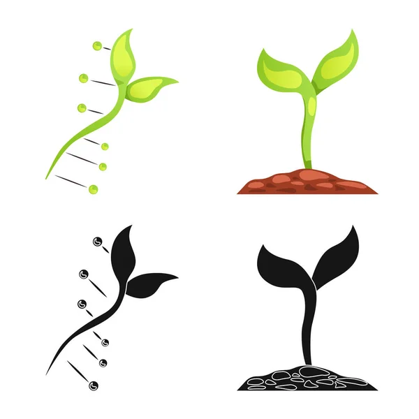 Isolerade objekt av genetiska och växt-ikonen. Uppsättning av genetiska och bioteknik vektor ikon för lager. — Stock vektor
