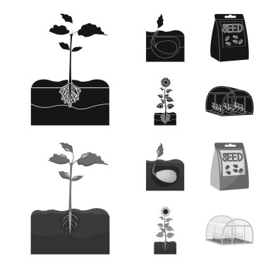 Şirket, ekoloji ve diğer web simge siyah, tek renkli tarzı. Kabuğu, cezalar, Bahçe simgeler kümesi koleksiyonu.