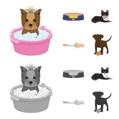 Tembel bir evcil hayvan, pençeleri veteriner Kliniği, kırpma, köpek yalan, bir top ile köpek yavrusu için. Köpek bakım veteriner Kliniği ve evde beslenen hayvan, çizgi film, tek renkli stil vektör simge stok çizim web simgeler ayarla.