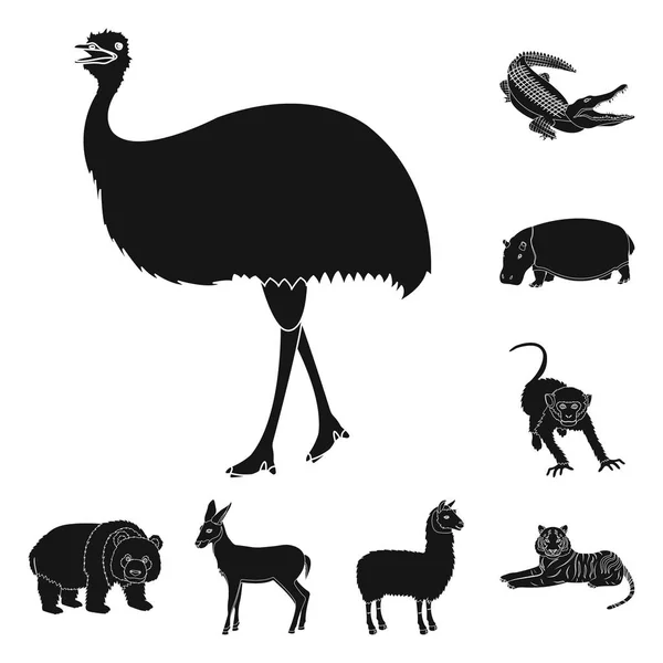 Verschiedene Tiere schwarze Symbole in Set-Kollektion für Design. Vogel, Raubtier und Pflanzenfresser Vektor Symbol Stock Web Illustration. — Stockvektor