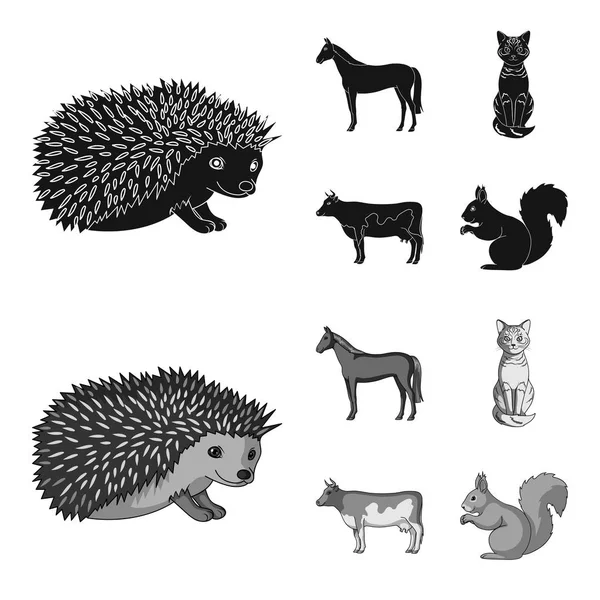 Horse, cow, cat, squirrel and other kinds of animals.Animals set collection icons in black,monochrome style vector symbol stock illustration web. — Stock Vector