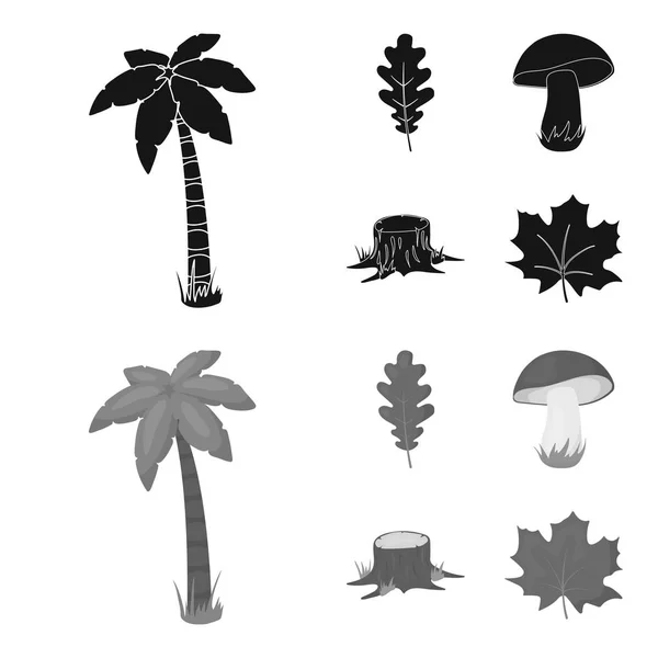 Folha de carvalho, cogumelo, toco, folha de ácer. Ícones de coleção de conjunto de floresta em preto, estilo monocromático símbolo vetorial ilustração web . — Vetor de Stock