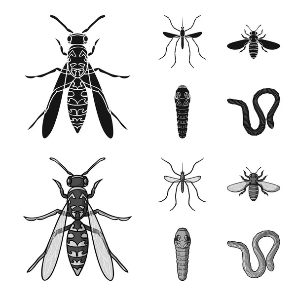 Worm, centipede, wasp, bee, hornet .Insects set collection icons in black,monochrome style vector symbol stock illustration web. — Stock Vector
