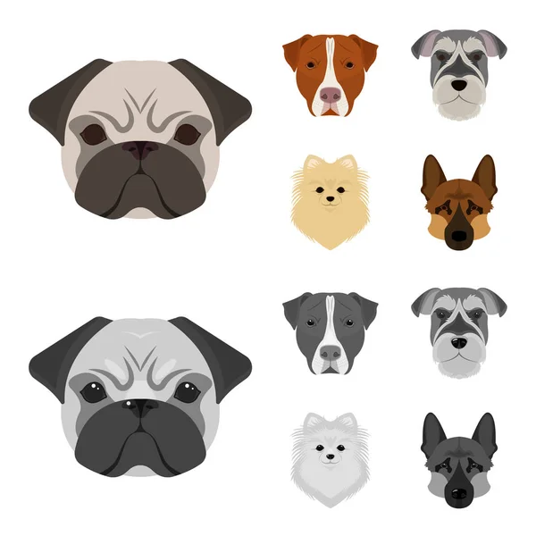 Bozal de diferentes razas de perros. Raza de perro Stafford, Spitz, Risenschnauzer, pastor alemán conjunto colección iconos en dibujos animados, monocromo estilo vector símbolo stock ilustración web . — Vector de stock