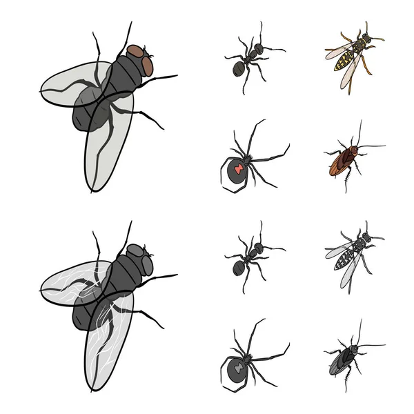 En insekt leddjur, en osa, en spindel, en kackerlacka. Insekter som samling ikoner i tecknad film, svartvit stil vektor symbol lager isometrisk illustration web. — Stock vektor