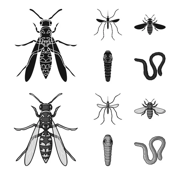Hoornaar Vector Art Stock Images ページ 15 Depositphotos Hoornaar Vector Art Stock Images ページ 15 Depositphotos