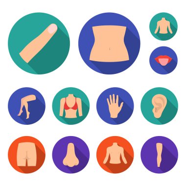 Vücut, bacak set koleksiyonu tasarım için düz simgeleri parçası. İnsan anatomisi vektör simge stok web çizimi.