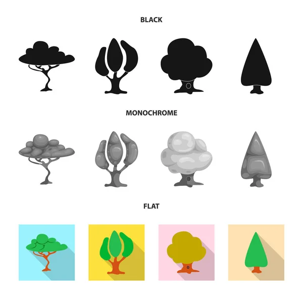 Designul Vectorial Arborelui Semnului Naturii Colecție Pictogramă Vector Copac Coroană — Vector de stoc