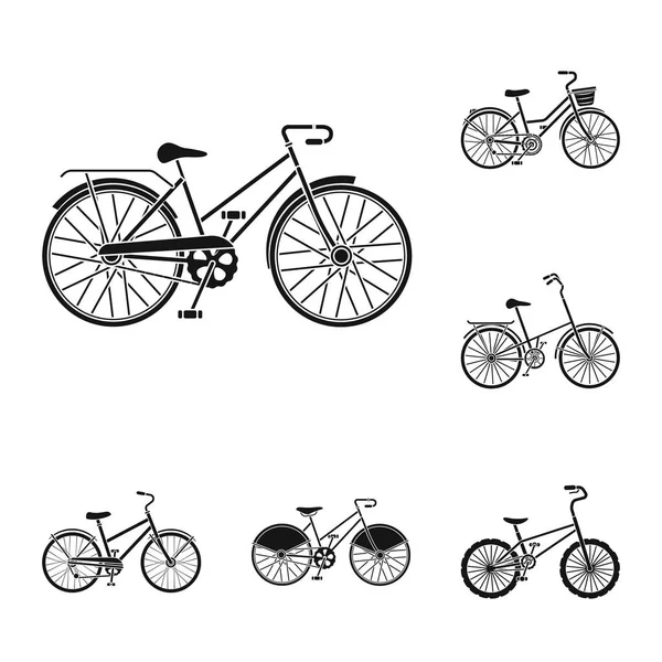 Varias bicicletas iconos negros en la colección de conjuntos para el diseño. El tipo de vector de transporte símbolo stock web ilustración . — Archivo Imágenes Vectoriales