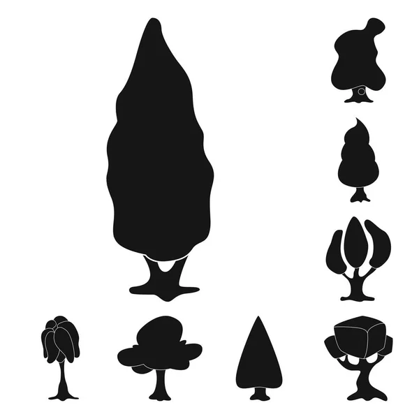 Diseño vectorial de árbol y signo de la naturaleza. Colección de árbol y corona icono vectorial para stock . — Archivo Imágenes Vectoriales